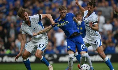 Bí quyết giúp Brighton vừa sinh lời vừa thắng lớn