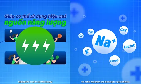 Revive Thể Thao: Bí quyết nâng cao sức bền, bứt phá giới hạn của các tuyển thủ quốc gia