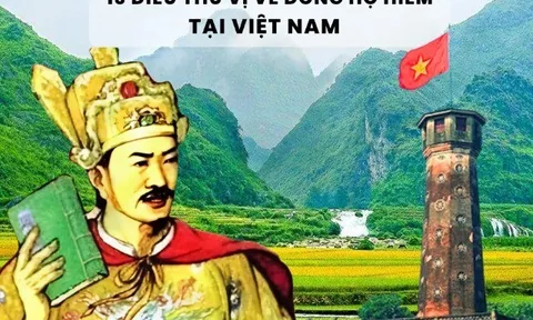 Dòng họ nào chiếm khoảng 1% dân số, gắn liền với vị vua tài giỏi, dẹp loạn 12 sứ quân vang danh sử Việt?