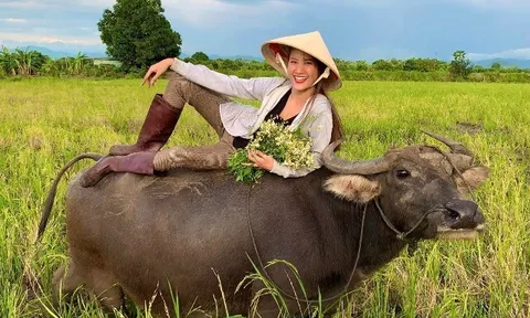 Cô bé đi chăn trâu, mò cua bắt ốc trở thành Á hậu nóng bỏng, lấy thiếu gia Hà Nội nay sống giàu sướng