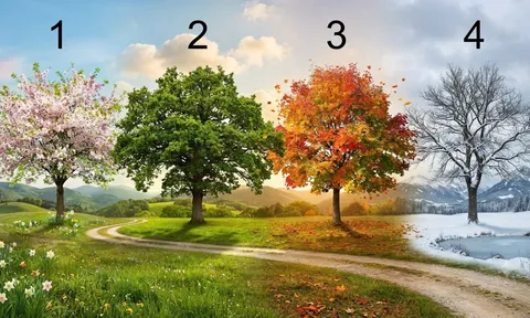 Trắc nghiệm: Lựa chọn 1 cái cây sẽ nói cho bạn biết tháng 9 âm bạn giàu có hay không?