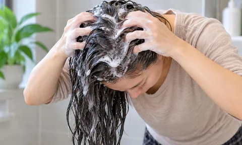 Vì sao không nên thoa dầu gội trực tiếp lên thân tóc, đâu mới là cách đúng?