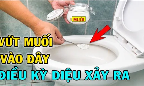 Vì sao nên bỏ chút muối vào bồn cầu