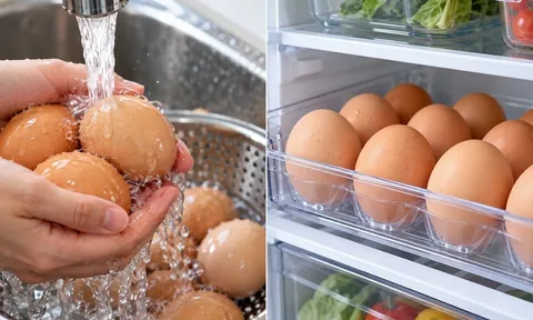 Vì sao không nên rửa trứng trước khi cất? Nếu trứng bẩn hãy làm cách khác