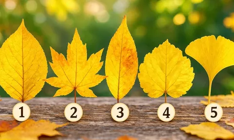 Chiếc lá vàng nào khiến bạn thấy rung cảm nhất?