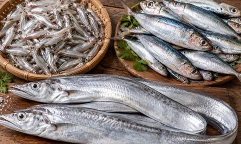 9 loại cá sạch ở Việt Nam, ít ngậm hóa chất lại bổ dưỡng, bà nội trợ thấy là phải mua ngay về dùng