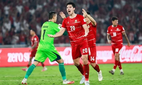 Chuyên gia tố Indonesia dàn xếp vô địch FIFA ASEAN Cup