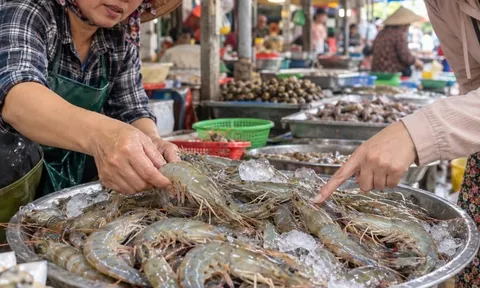 Mua tôm chọn con cong hay thẳng là ngon nhất?