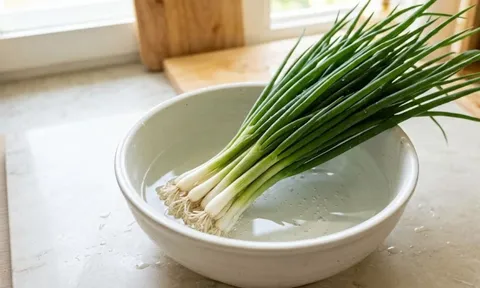 Hành lá cất trong tủ lạnh vẫn nhanh hỏng, làm theo cách này để cả tháng vẫn tươi