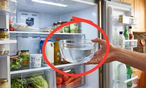 Tại sao nên đặt một bát nước qua đêm trong tủ lạnh?