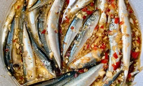 Loại cá giàu Omega-3 hơn cá hồi, ở chợ Việt bán đầy với giá rẻ bèo, bà nội trợ thấy là mua ngay về dùng