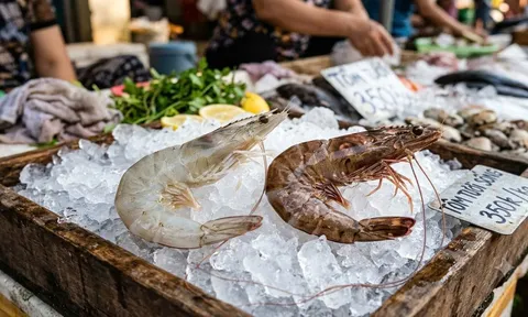 Chọn tôm tươi nên chọn tôm vỏ trắng hay vỏ nâu sẽ ngon hơn