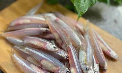 Loại cá tốt trên thế giới ở Việt Nam đang vào mùa, xưa giá rẻ bèo nay thành đặc sản được ưa chuộng, 400.000 đồng/kg