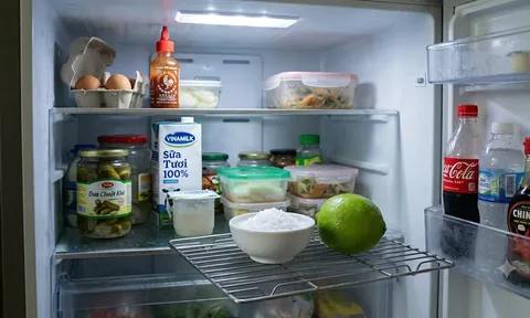 Vì sao nên đặt 1 bát muối trắng vào ngăn mát tủ lạnh?