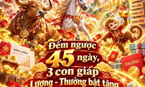 Đếm ngược 45 ngày, 3 con giáp Lương - Thưởng bật tăng