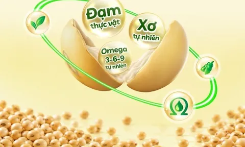 Dưỡng chất đậu nành: Bí quyết dưỡng da từ bên trong