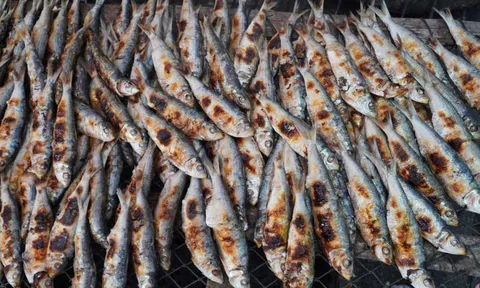 2 loại cá tốt cho xương, giá rẻ, chợ Việt bán rất nhiều