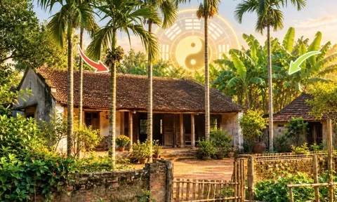 Vì sao người xưa dặn con cháu: Trước trồng cau, sau trồng chuối?