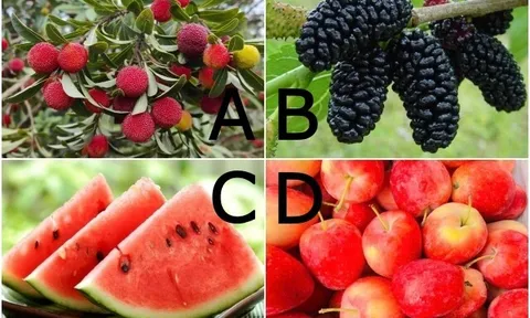 Trắc nghiệm: Chọn một loại trái cây, biết ngay bạn có số gặp được người thật lòng yêu thương mình hay không