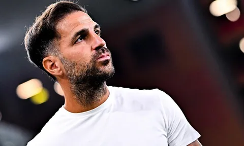 Cái bẫy thực dụng Fabregas giăng sẵn chờ Carrick