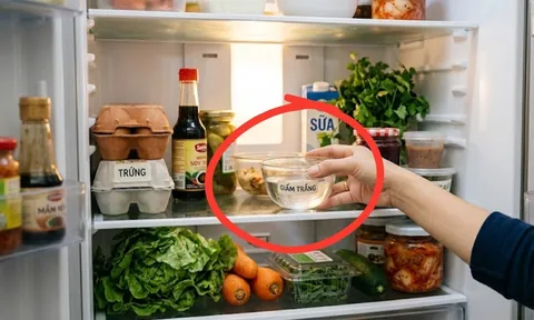 Tại sao nhiều người thích để 1 bát giấm trong tủ lạnh?
