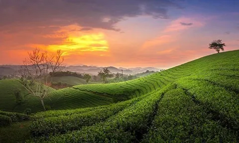11 địa điểm “đẹp tựa tiên cảnh” ở Thái Nguyên mà bạn không nên bỏ qua, từ núi đồi đến hồ thác, thỏa sức check-in