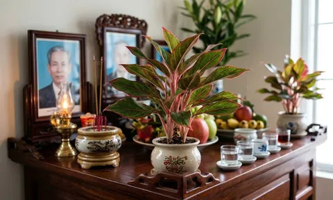 3 loại cây đặt lên bàn thờ nhà nào nhà đó giàu có: Ai không biết quá đáng tiếc