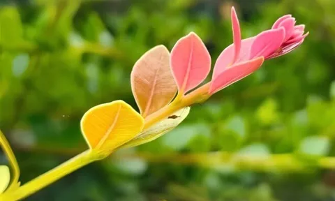 Thoáng nhìn 3 thói quen, biết ngay một người dư dả hay túng thiếu 