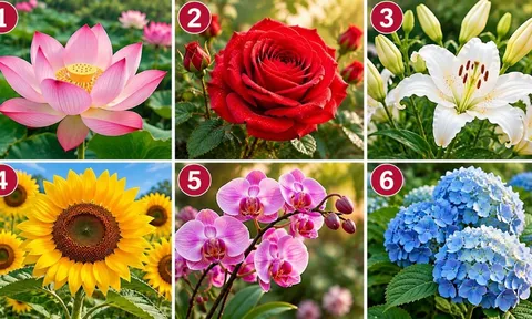 Chọn 1 bông hoa bạn ấn tượng nhất, xem bạn có vận may tài chính thế nào?
