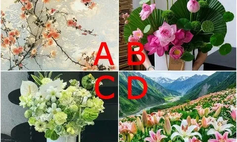 Trắc nghiệm: Chọn một bức tranh, hé lộ bạn chiếm vị trí quan trọng đến đâu trong trái tim người ấy