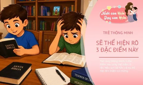 Đứa trẻ thông minh sẽ thể hiện rõ 3 đặc điểm khác biệt này