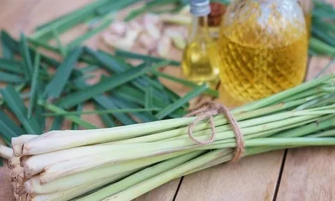 Vì sao nên đặt bó sả vào nhà vệ sinh