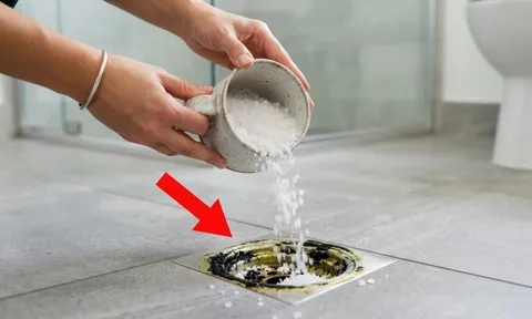 Đổ muối xuống đường ống thoát nước có tác dụng gì?