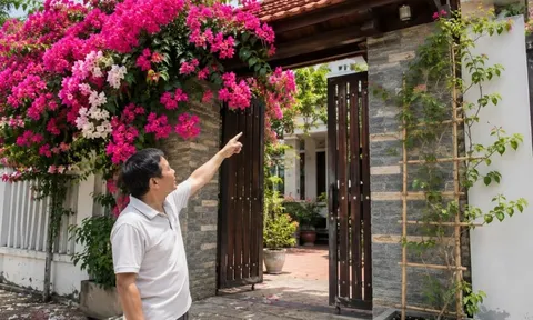 Cách trồng hoa giấy nhanh nảy mầm, hoa nở thành chùm