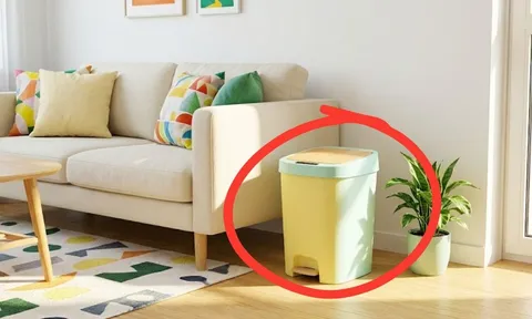 Vì sao không nên đặt thùng rác ở phòng khách?