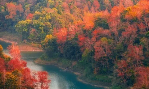 Ở Cao Bằng có nơi check-in mùa lá đỏ đẹp siêu thực, cũng là điểm đến mà dân trekking thích mê
