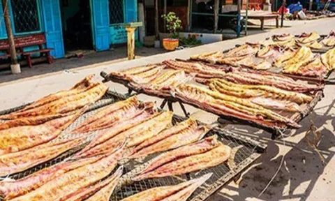 Đặc sản nổi tiếng tên vô cùng lạ, mỗi năm chỉ có một mùa, xưa không ai ăn nay được ưa chuộng giá 240.000 đ/kg