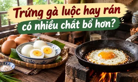 Trứng gà luộc hay rán có nhiều chất bổ hơn?