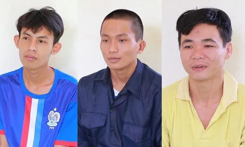 Khởi tố 3 nam thanh niên trộm mai vàng, thuê xe ba gác chở đi tiêu thụ