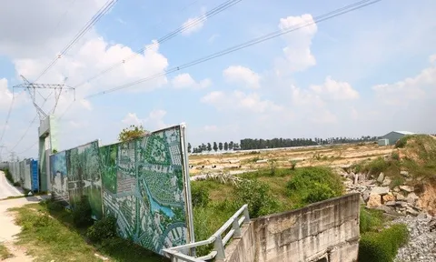 Liên quan đến vụ bán 43 ha "đất vàng": Bắt 3 lãnh đạo Tổng Công ty Bình Dương