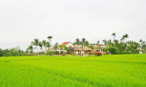 Du lịch Hội An: Trải nghiệm đạp xe trên những cung đường đậm chất thơ