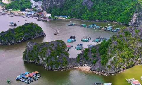 Du lịch Cát Bà Hải Phòng tự túc A-Z: Ăn chơi thả ga, tiêu pha chừng mực