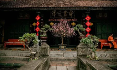 Ngắm Việt Phủ Thành Chương: Nơi du xuân chụp ảnh đẹp nhất đầu năm