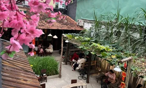TP Hồ Chí Minh: Check-in những điểm đến thu hút du khách trước thềm năm mới Ất Tỵ