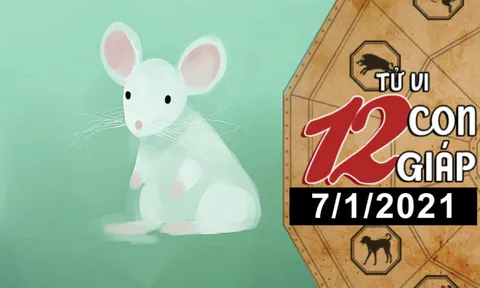Tử vi thứ 5 ngày 7/1/2021 của 12 con giáp: Tý túi tiền rủng rỉnh, Mão dễ vướng vào scandal tình ái