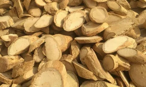 Công dụng chưa biết về cây xáo tam phân