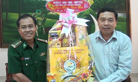 Tiền Giang: Nhiều hoạt động ý nghĩa những ngày cận Tết Nguyên Đán