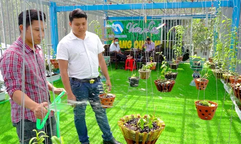Choáng ngợp trước vườn lan đột biến 80 tỷ đồng, khiến người TP. Cần Thơ phải trầm trồ