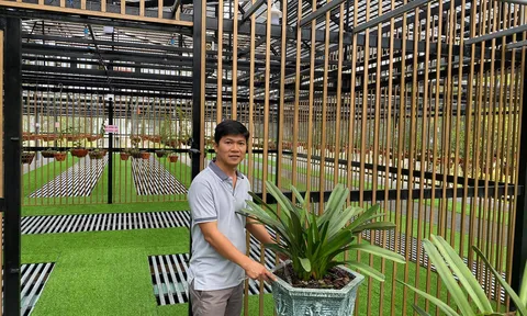 Nguyễn Tấn Lên: Chàng trai từ bỏ mức lương khủng để khởi nghiệp từ hoa lan