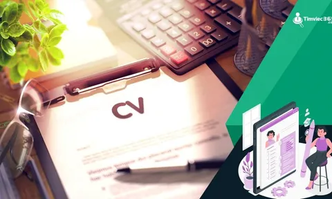 Giải mã sức hút của timviec365.com - website tuyển dụng uy tín